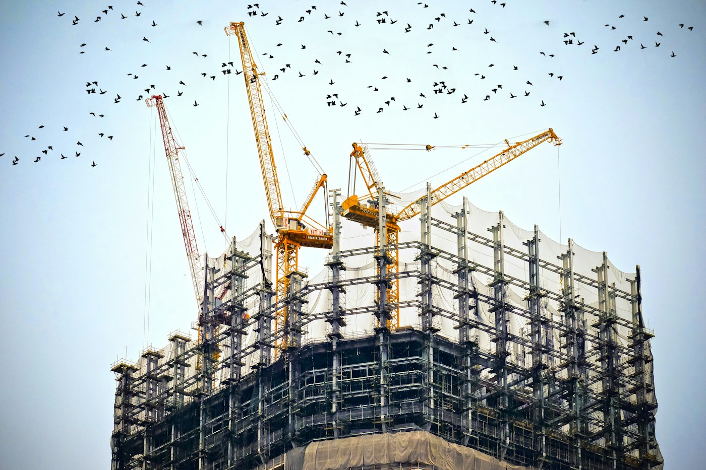 Estructura en construcción con grúas torre